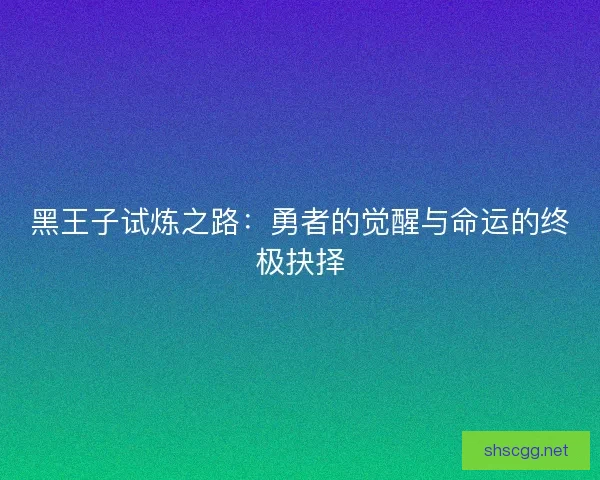 黑王子试炼之路：勇者的觉醒与命运的终极抉择