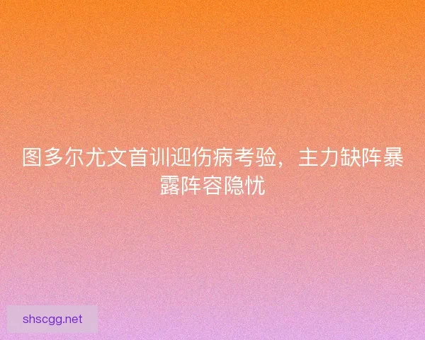 图多尔尤文首训迎伤病考验，主力缺阵暴露阵容隐忧