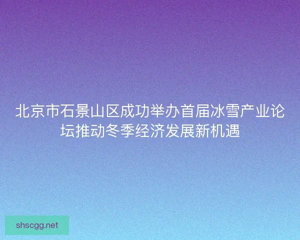 北京市石景山区成功举办首届冰雪产业论坛推动冬季经济发展新机遇
