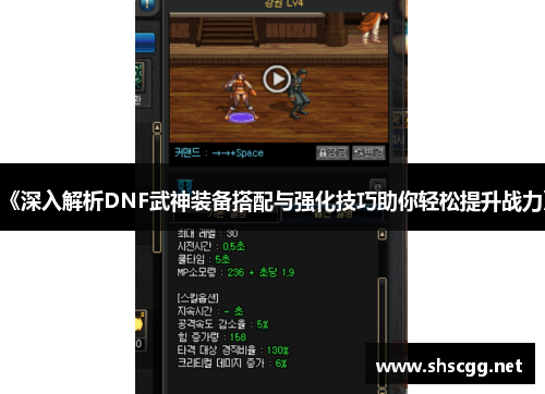 《深入解析DNF武神装备搭配与强化技巧助你轻松提升战力》