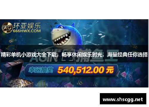 精彩单机小游戏大全下载，畅享休闲娱乐时光，海量经典任你选择