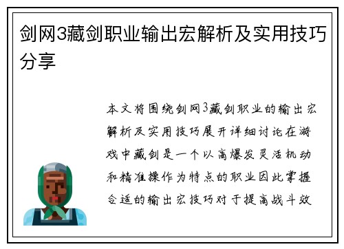 剑网3藏剑职业输出宏解析及实用技巧分享